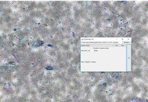 Projeto de Arte e Multimédia, onde me propus a criar um programa - com ajuda de um programador - que deformasse as imagens, 2016